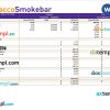 tobacco company earning statement example in Word and PDF formats