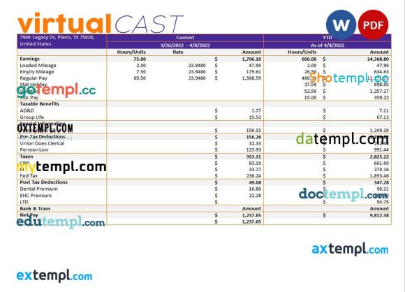 video conferencing company payroll example in Word and PDF formats