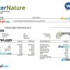 water company editable earning statement example in Word and PDF formats